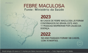 Febre maculosa